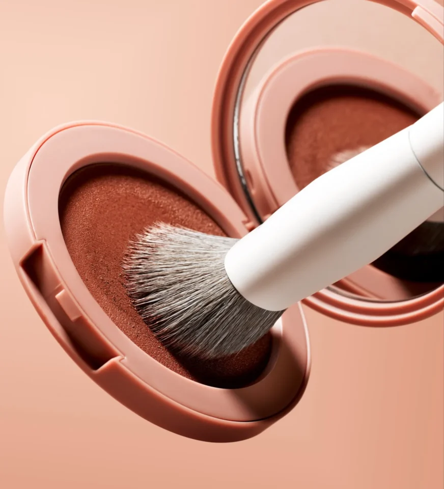 Makeup brush in blush compact.